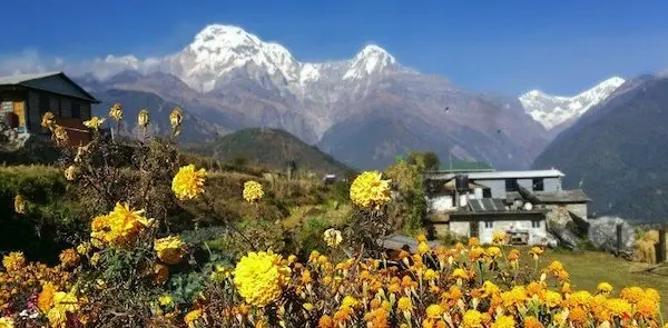 Everest-Ayurveda-Himalaya